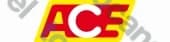Ace Wirtschaftsdienst