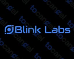 Blinks Labs