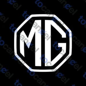 Mg Video Zone