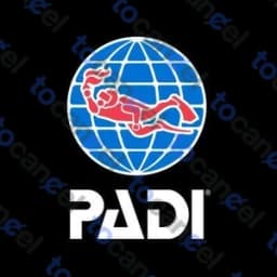 Padi