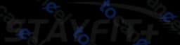 Stayfitpune