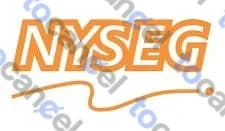 Nyseg