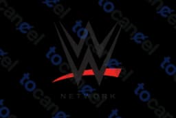 Wwe Network