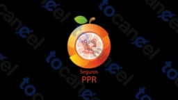 Ppr Seguros