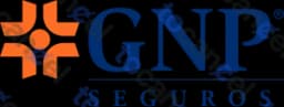 Gnp Seguros