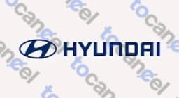 Hyundai Life
