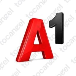 A1