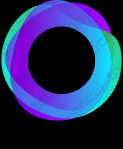 Circle Life