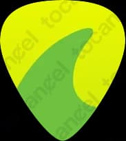 Guitartuna