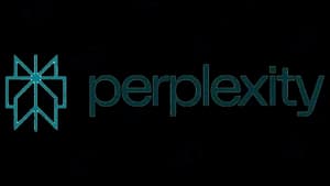 Perplexity