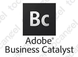 Adobe Business Catalyst
