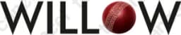 Willow Tv