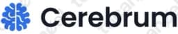 Cerebrum Iq