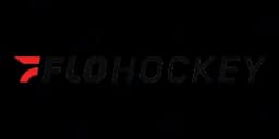 Flohockey