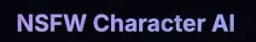 Nsfwcharacter.Ai