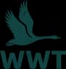 WWT