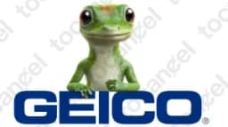Geico