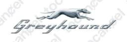 Greyhound