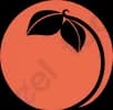 Peaches