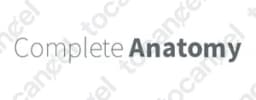 Complete Anatomy