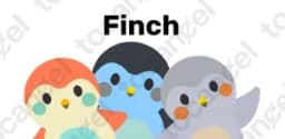Finch