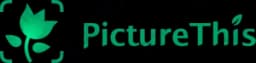Picturethis