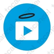 Vidangel