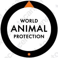 World Animal Protection
