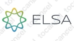 Elsa Speak