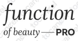 Function Of Beauty