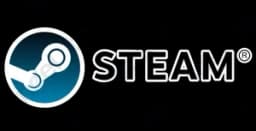 Steam