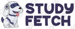 Studyfetch