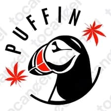 Puffin