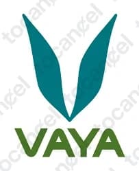 Vaya
