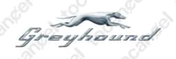 Greyhound