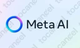 Meta AI Pro
