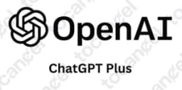 OpenAI ChatGPT Plus