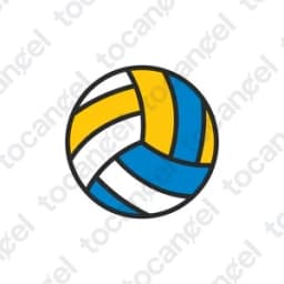 Volley