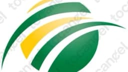 Cricket Wireless