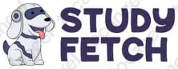 Studyfetch