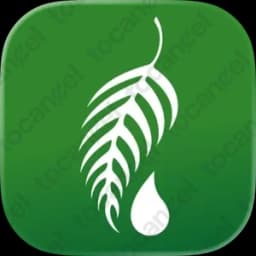 Melaleuca