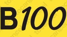 B100