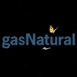 Georgia Natural Gas