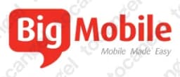 Bigmobile