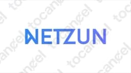 Netzun