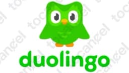 Duolingo