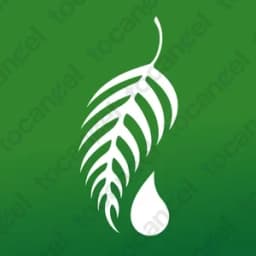 Melaleuca