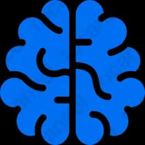 Cerebrum Iq