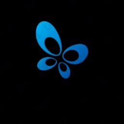 Localnet