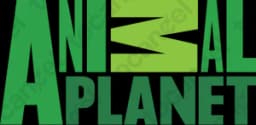 Animal Planet